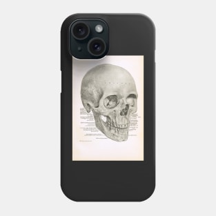 Human Skull, 19th Century illustration Phone Case