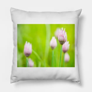 Chives Flower Buds Pillow