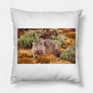 A Wombat Pillow