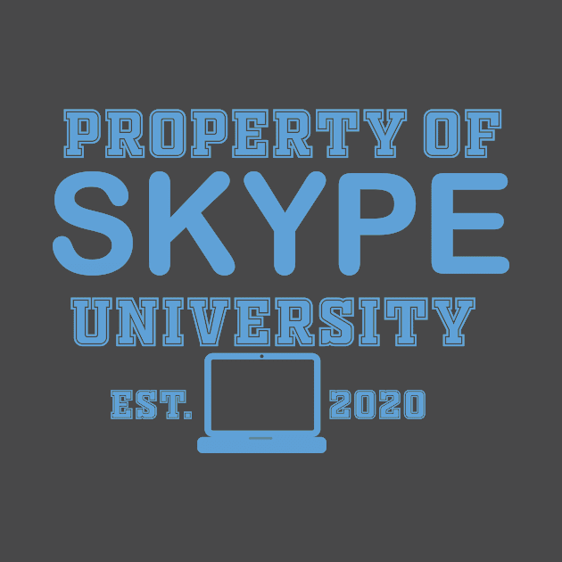 SKYPE UNIVERSITY by DROLO