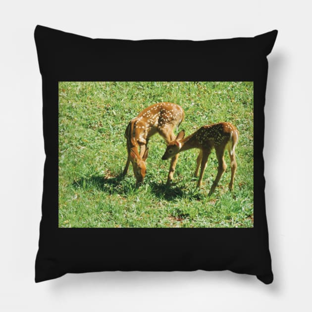 Little Fawns in the Sun Pillow by Griffelkinn