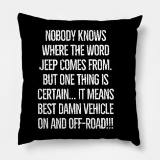 You betcha! Pillow