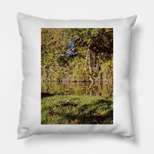 Autumn Oxford Canal Reflections Pillow