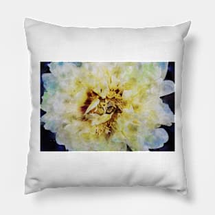 Garden Yellow Peony 5 Pillow