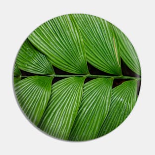 Green tropical leaf Pin