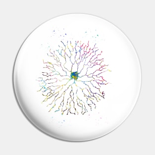 Starburst neuron Pin