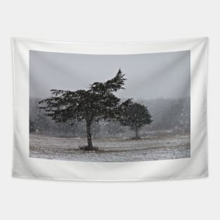 Snow Squall Tapestry