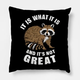 It Is What It Is And It's Not Great, Raccoon Pillow