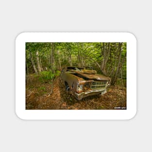 Abandoned Junker in the Woods Magnet