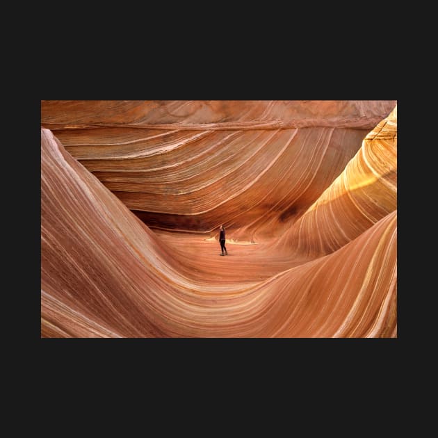 The Wave at Coyote Buttes North by dawn2dawn