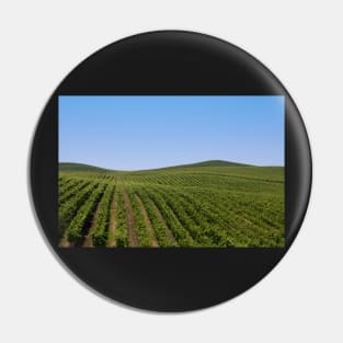 Rolling Vineyards Pin