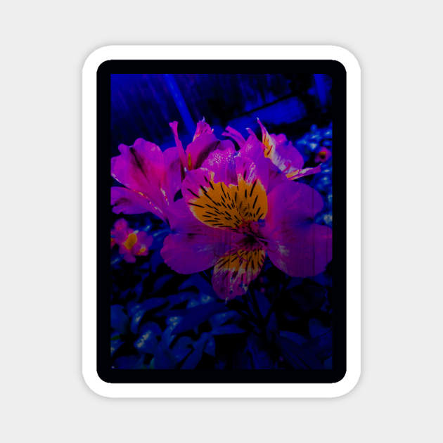 Fluorescent Flower Magnet by Blondesigns