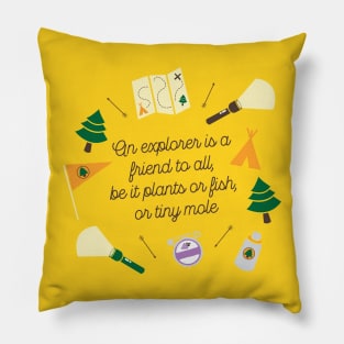 UP! Wilderness Explorer Pillow