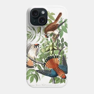 American Sparrow Hawk from Birds of America (1827) Phone Case