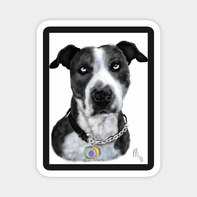 Pit Bull with Blue Eyes Magnet by LITDigitalArt