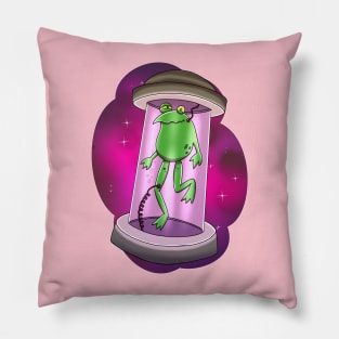 Frog in a Jar Pillow