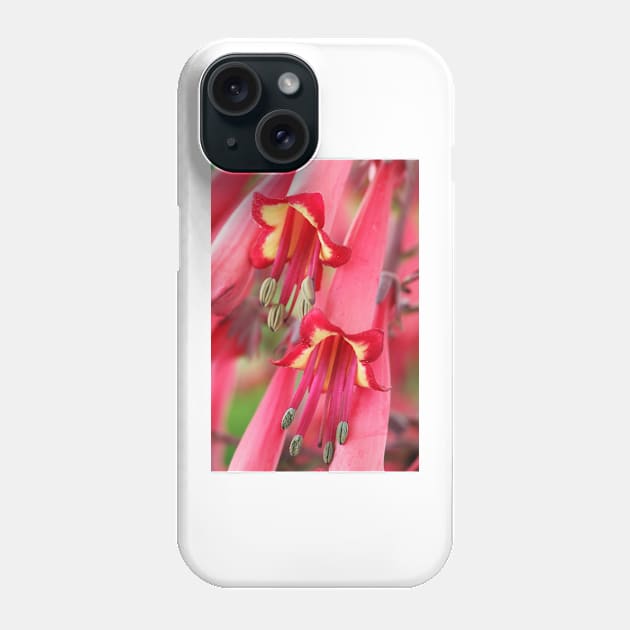 Phygelius × rectus  Somerford Funfair Coral = &#39;Yapcor&#39;   Somerford Funfair Series Phone Case by chrisburrows