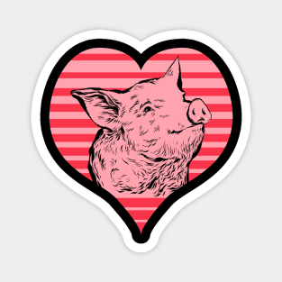 Cute pig Magnet