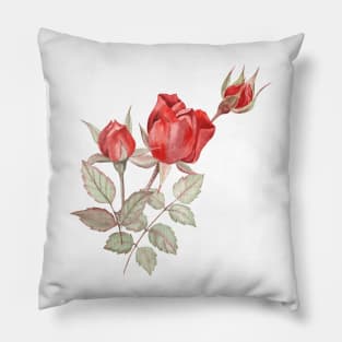 Red rose buds watercolor painting Pillow