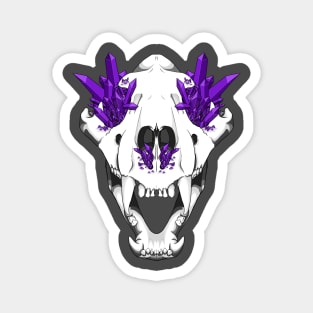 Tiger Skull Magnet