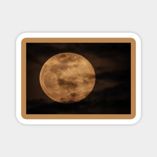 Pink Moon March 2020 Magnet