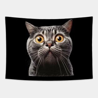 Funny Scared Cat Face, Cat Lover, Scaredy Cat Tapestry