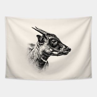 Lowland anoa Tapestry