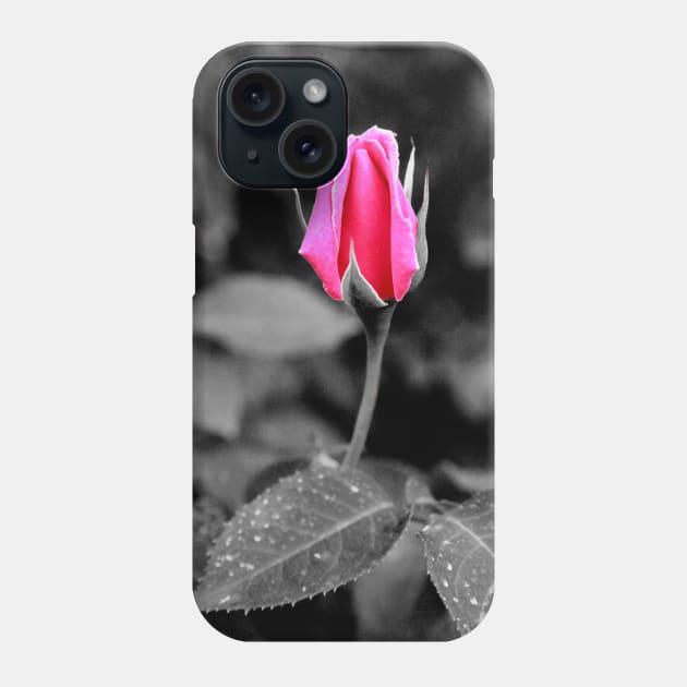 Rose bud Phone Case by Gaspar Avila