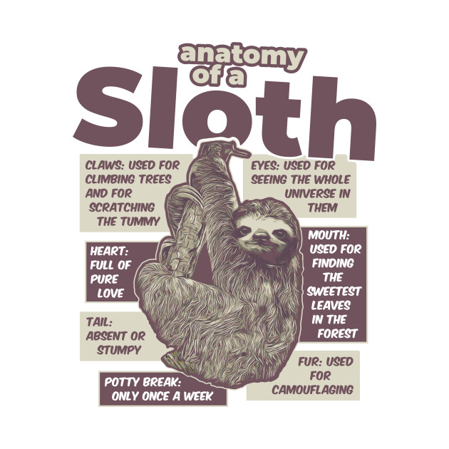 Anatomy of a Sloth - Funny Sloth - T-Shirt | TeePublic