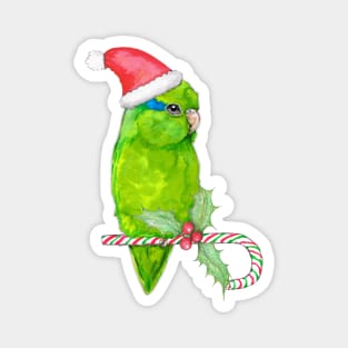 Green parrotlet christmas style Magnet