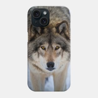 Timber Wolf Phone Case