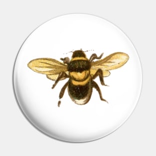 Honey Bee Pin