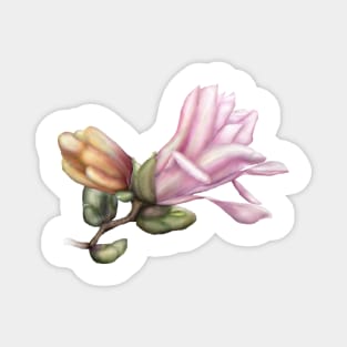 Magnolia Illustration Magnet