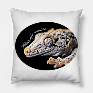 Gargoyle gecko with scientific name Pillow