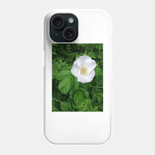 White wild rose Phone Case