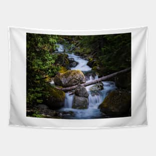 Forest Stream Tapestry