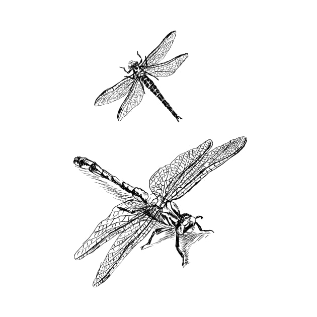 Dragonflies Print by rachelsfinelines