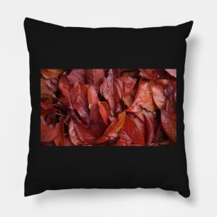 Prunus in Autumn - Avril Thomas at Magpie Springs Pillow