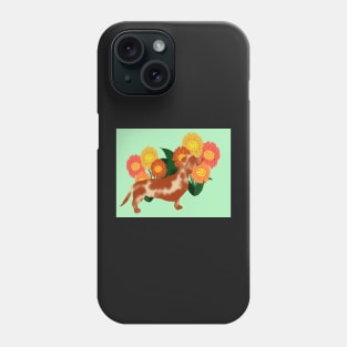 Nosey Dachshund 2 Phone Case