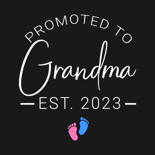 Promoted to Grandma est 2023 T-Shirt