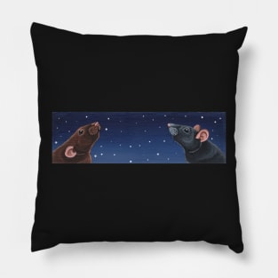 Agouti and Black Rat Stargazing Pillow