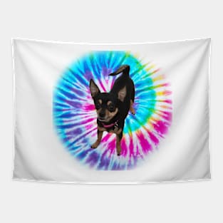 Tie-Dye chihauhau Tapestry