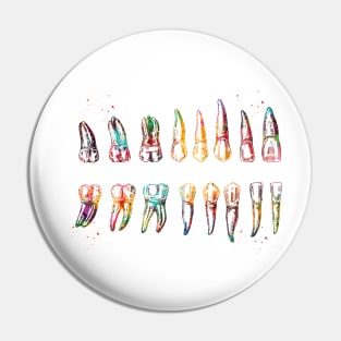 Teeth Diagram Pin