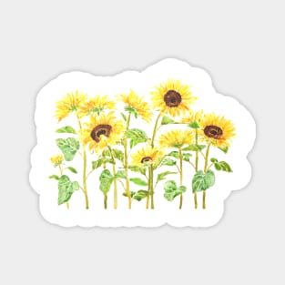 yellow sunflower painting 2020 version 2 watercolor painting Magnet