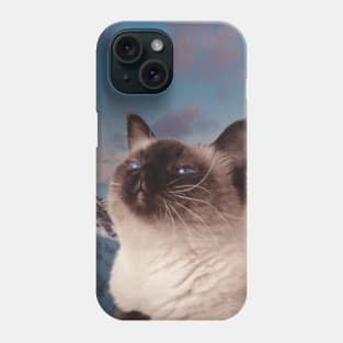 Siamese cat in the mountain sky portrait painting Phone Case