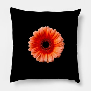 One Gerbera, One Story Pillow