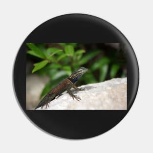 Yarrow's Spiny Lizard Pin