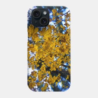 Yellow leaves Phone Case