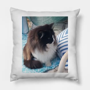 Tuxedo Cat Cute Blue Cats Pillow