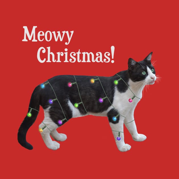 Meowy Christmas by donovanh